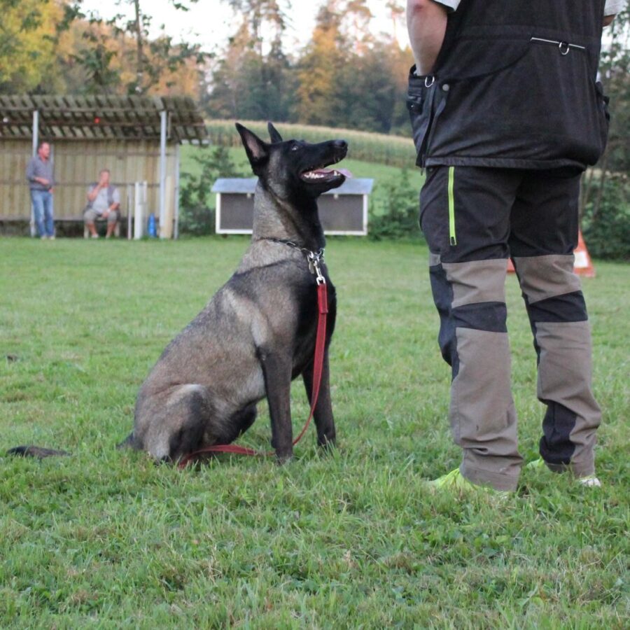 Neelix beim Training