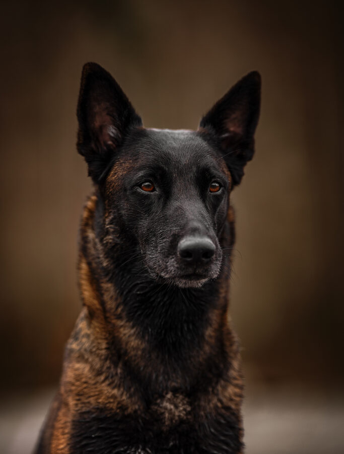 Ekiba Portrait Seite